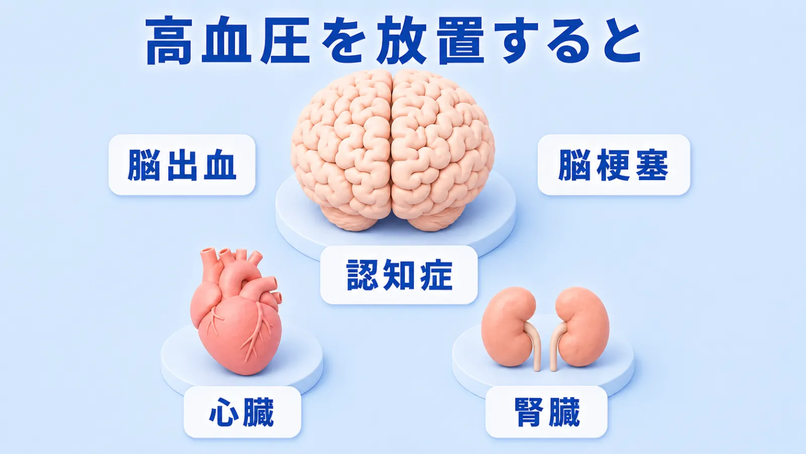 高血圧を放置すると影響が及ぶ場所の図。大きく描いた脳のまわりに脳出血・脳梗塞・認知症のラベル、その下に心臓と腎臓を添えて、特に脳への負担が大きいことを表している。
